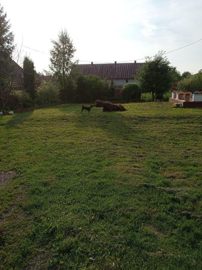 B&B Źródlana 46 Olszyna  Exterior foto